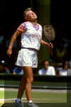 Wimbledon93.jpg (27245 bytes)